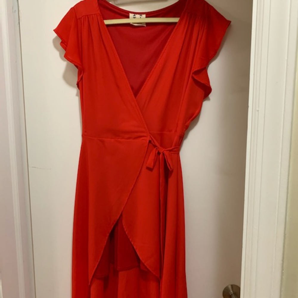 PPLA Dress - Picture 3 of 5